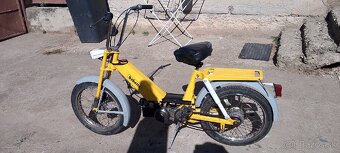 Babeta 207 - 5