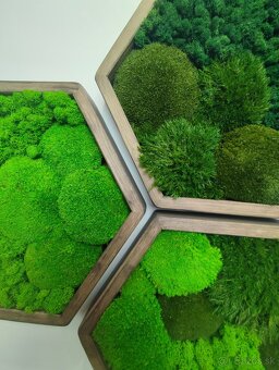 Machový obraz HEXAGON - 5