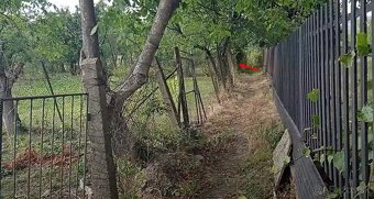 Záhrada na Zemplínskej Šírave - 5