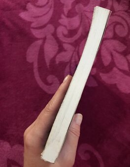 Nezaměstnanost psychologický, ekonomický a sociální problém - 5