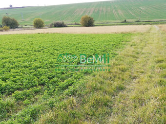 EXKLUZÍVNE - Na predaj investičný pozemok Nitra. 4316 m2 - 5