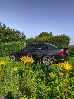 BMW e46 320cd - 5