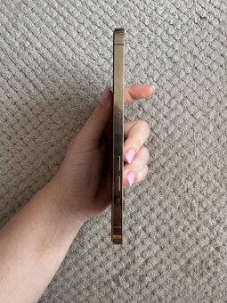 Iphone 12 pro max - 5