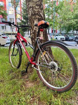 Dámsky bicykel - 5