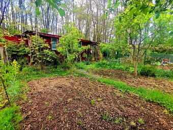 Predaj, záhradnej chaty v Poltári časť Kúpna Baňa - 5