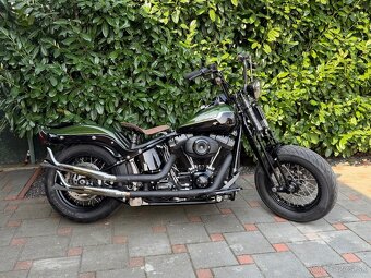 Harley Davidson Softail Cross Bones - 5