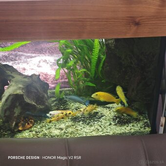 Akvárijny komplet - 5