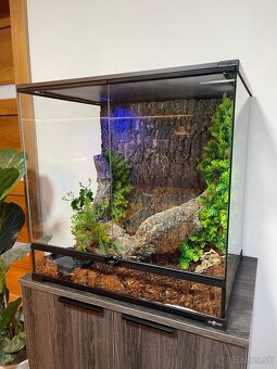 terárium s boa constrictor - 5