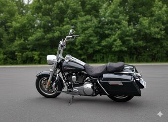 Harley Davidson Road king FLHRI 2005 - 5