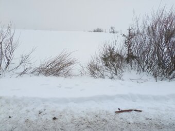 Orná pôda Lokca - 5