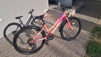 CTM MONY - 5