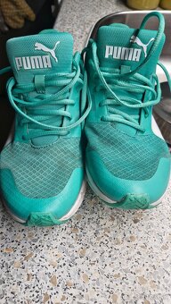 Puma - 5