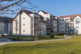 2-izbový byt s loggiou a balkónom v projekte Polianky – Zava - 5