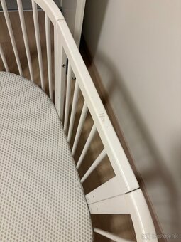 Rastúca postielka - 5