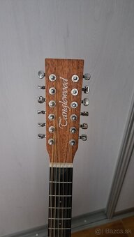 12 strunova gitara - 5