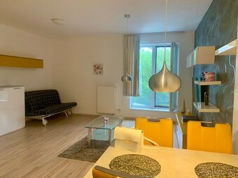 Prenajmem 1 izbový apartmán vedľa Veľkého Draždiaka - 5