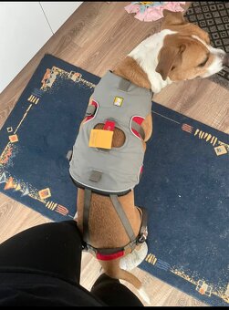 Ruffwear profesionálny postroj - 5
