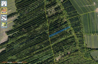 Prodej lesů o rozloze 12 421 m² katastr Šanov - 5