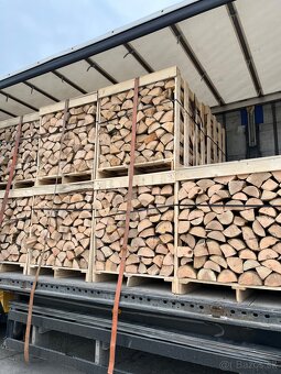 PALIVOVÉ DREVO - BUK - 5