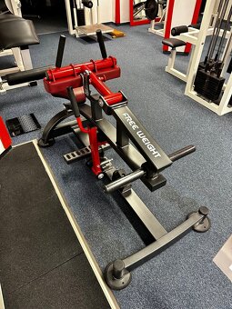 Profesionálny stroj na lýtka - 5