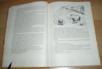 U pravěkých lovcu - 5