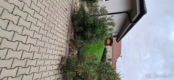 Novostavba Dvory nad Žitavou - 5