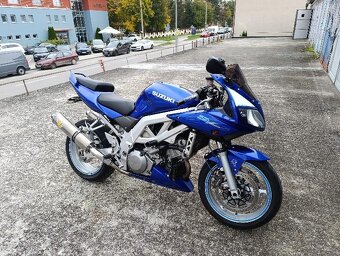 Suzuki SV1000 S - 5