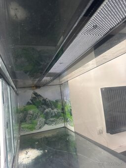 Aquarium - 5