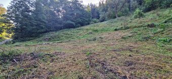 Predaj stavebného pozemku v Lazoch pod Makytou – časť Potok - 5