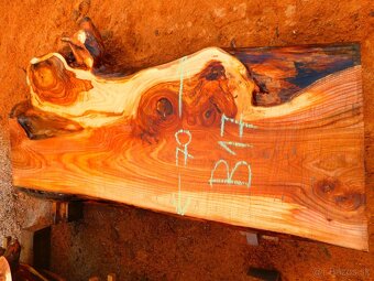 Atypické a nadrozmerné fošne a koláče, orechové drevo - 5