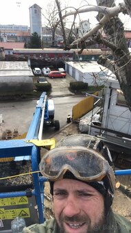 Pílenie stromov, arboristika, drtenie konárov - 5