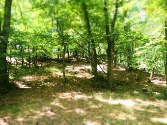 NA PREDAJ: Pozemok (rekreačný) 1000m2, možnosť výstavby chat - 5