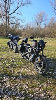 HARLEY DAVIDSON ROADSTER 1200 - 5