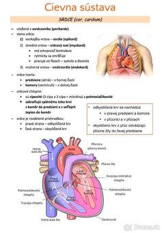LF UPJŠ - prijímačky - 5