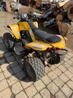 Can am ds250 - 5