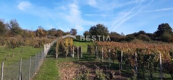 predaj Vinohradníckej chaty s vinohradom - 5
