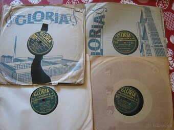 stare selakova platne +plastove platne-specialitky - 5