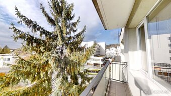 3-izb. byt - Predmestská, Žilina - 5