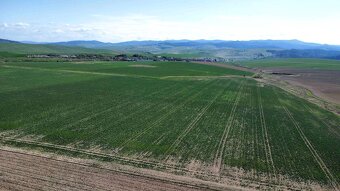 Podhorany – 21.783 m2 ORNÁ PÔDA v podiele 1/1 – Predaj - 5