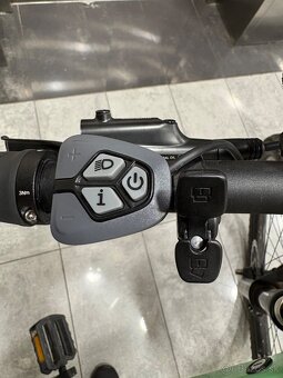 CTM pulze expert 29” 2023 - 5