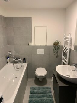 1 izb. klimatizovaný byt Ovocne sady - 5