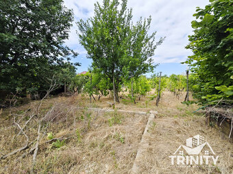 Na predaj 3-izbový rodinný dom v meste Šurany - Kostolný Sek - 5