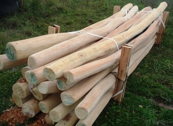 Agátové koly – odbelené, brúsené, jadrové drevo - 5
