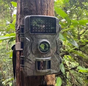 Fotopasca - 5