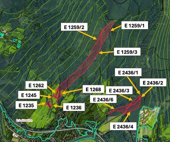 Čadca (Horelica) – 20.500 m2 ORNÁ PÔDA a LES - 5