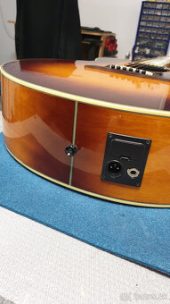 Elektroakustika Ibanez - 5