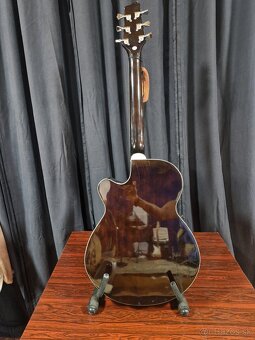 Elektroakustická gitara Performer - 5