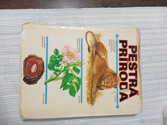 Autá,veda, priroda - 5