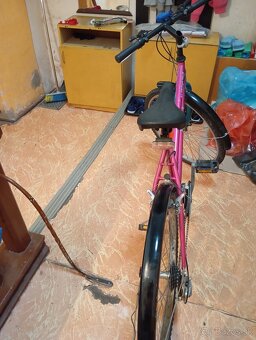 Predam - 5