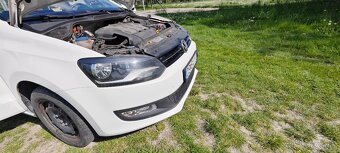 polo - 5